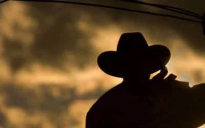 Containing the Cost of the Cloud