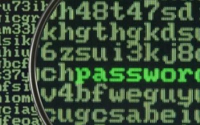 When Your Password Is the Subject Line: A Personal Encounter with a New Email Scam