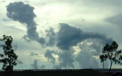 The Evolution (or Extinction) of the “Traditional” VAR