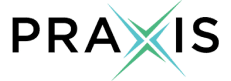 Praxis Precision Medicines logo