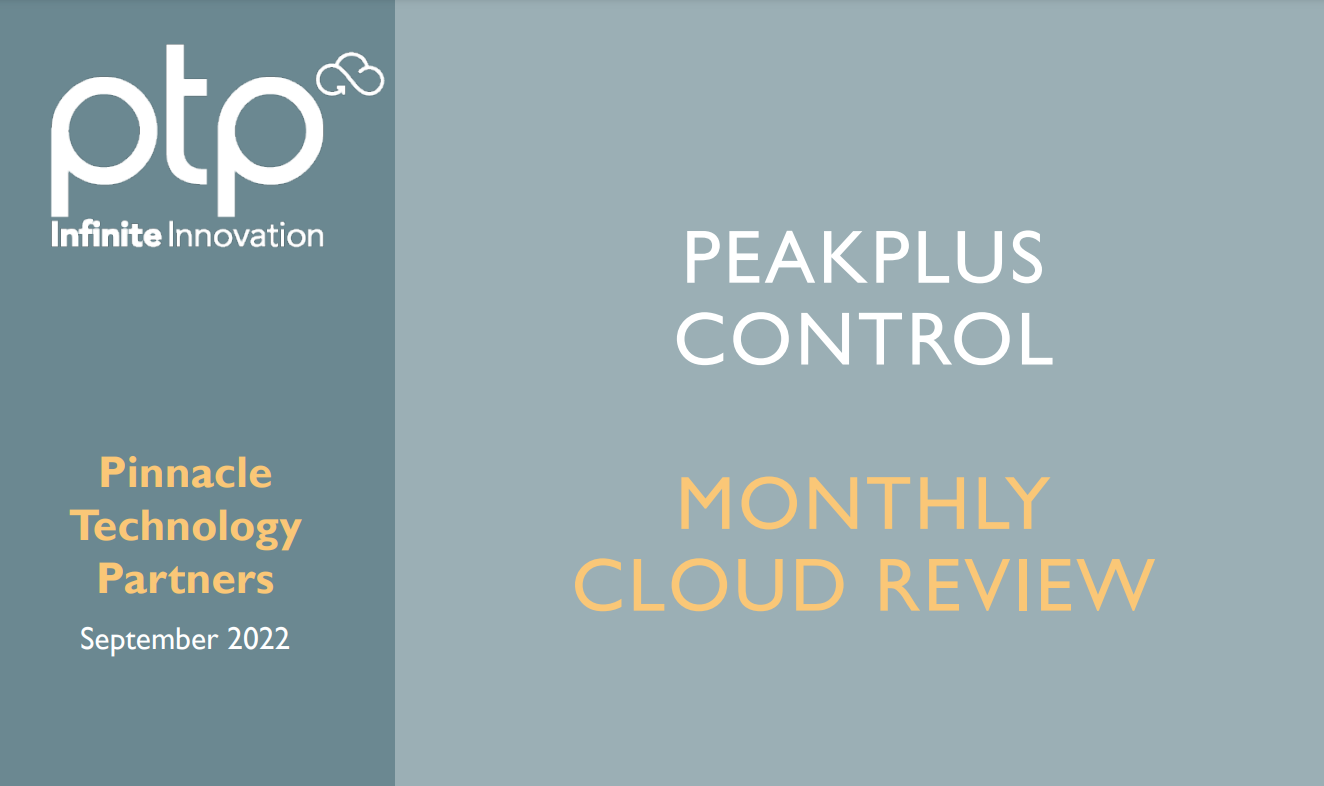 Sample monthly report from the PTP PeakPlus CONTROL Service